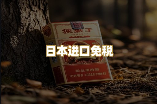 日本进口免税